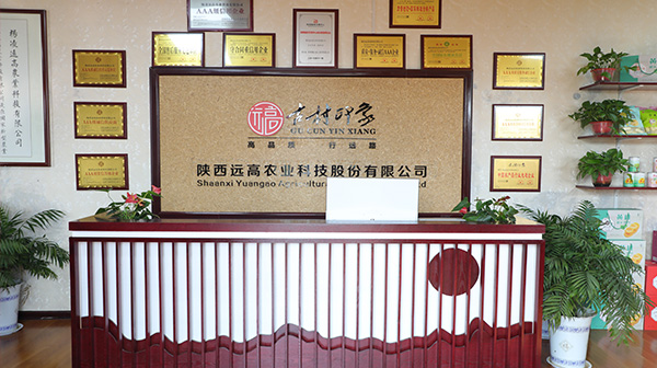 工廠